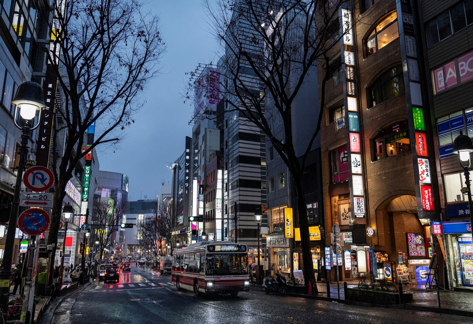 Japon, où visiter: ville typique, voir un paysage ?