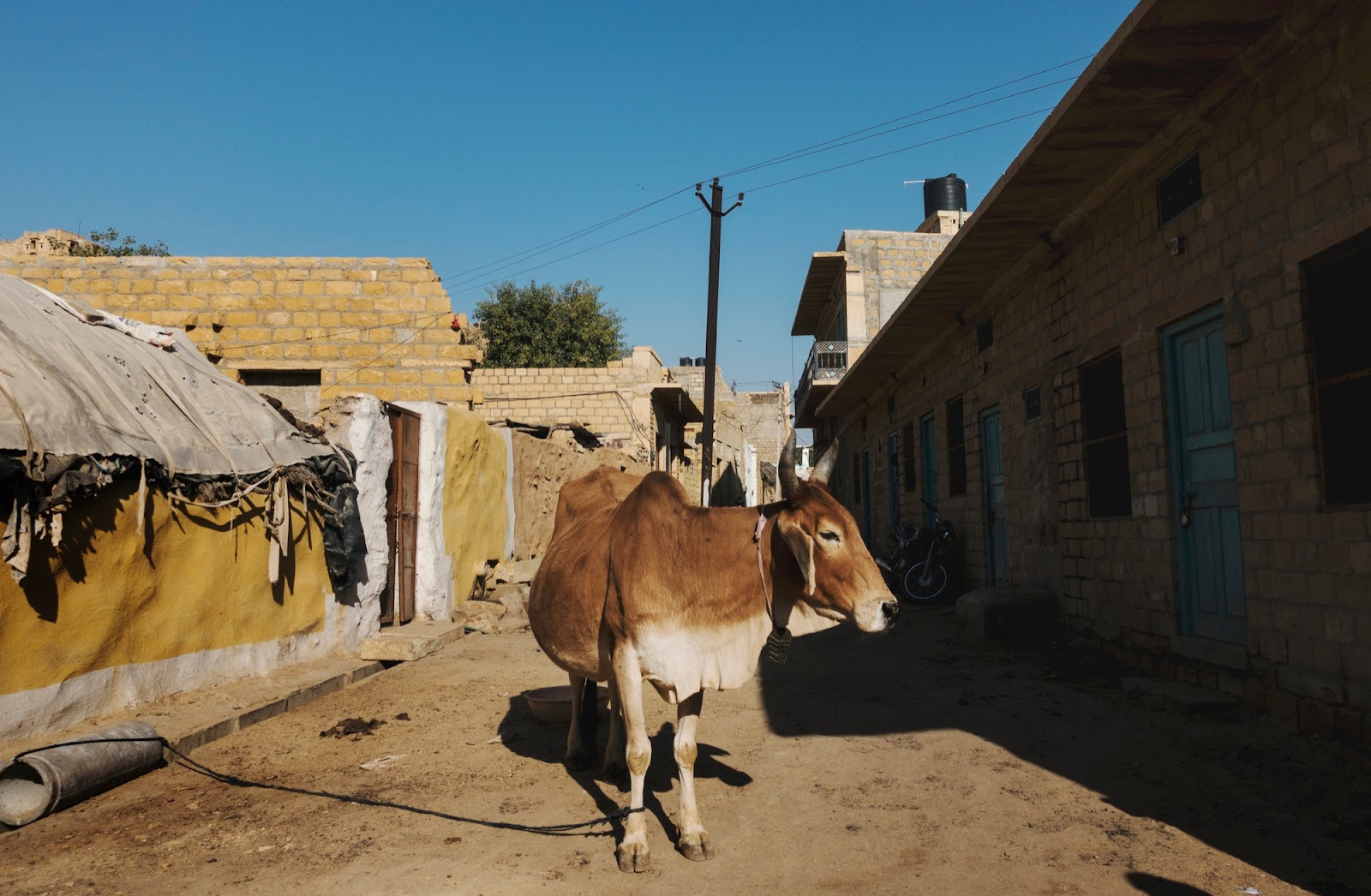 -Groupe Circuit Inde-: quoi découvrir comme belle campagne ou extérieur ?