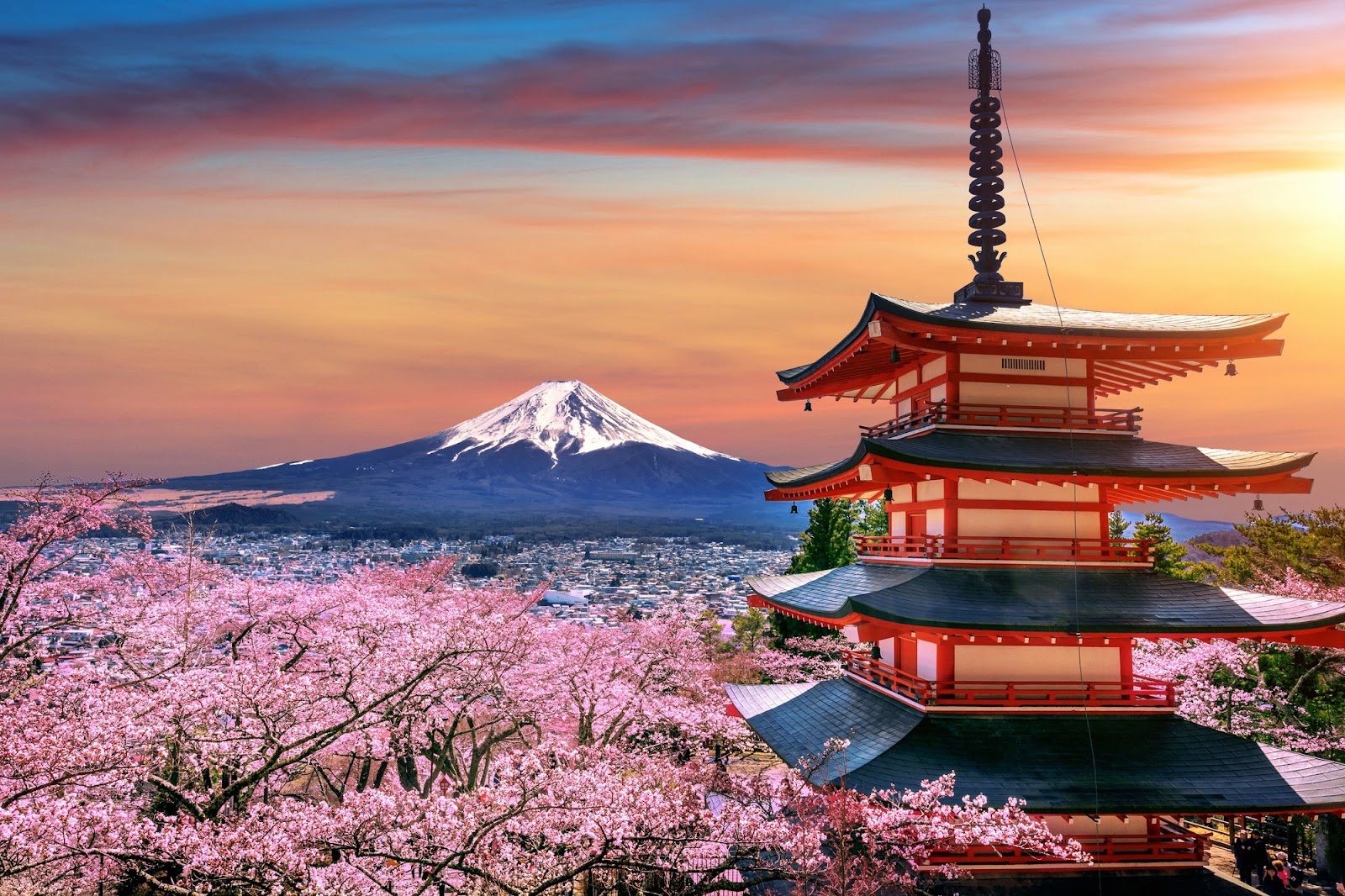 Groupe Circuit Japon vacances