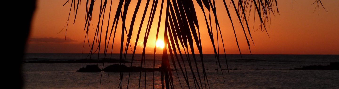 VOYAGES OUTRE-MERS ile-maurice-sunset-palmiers-mer