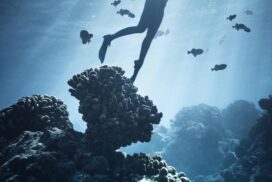 Aventure sous-marine à Malte