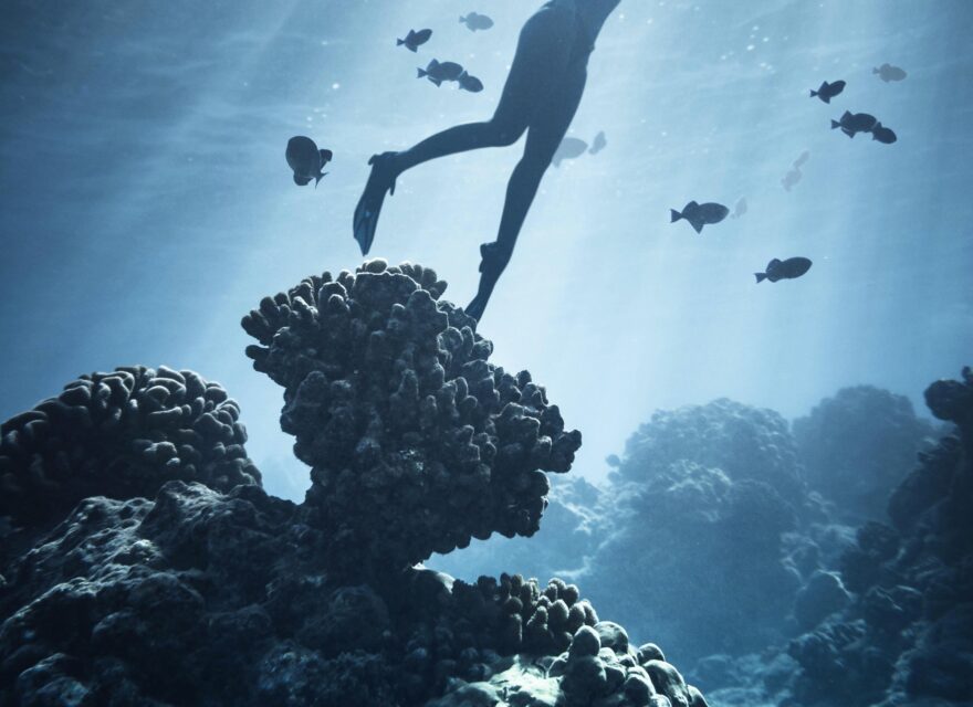 Voyageurs : Sportif – Aventure sous-marine à Malte – Explorez les merveilles sous-marines de Malte avec 10 plongées inoubliables dans des eaux cristallines, entre épaves et grottes fascinantes. Laissez-vous séduire par un séjour mêlant aventure et détente, dans un cadre exceptionnel au cœur de la Méditerranée. Voyageurs : Sportif – Aventure sous-marine à Malte – Explorez les merveilles sous-marines de Malte avec 10 plongées inoubliables dans des eaux cristallines, entre épaves et grottes fascinantes. Laissez-vous séduire par un séjour mêlant aventure et détente, dans un cadre exceptionnel au cœur de la Méditerranée.