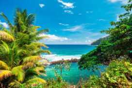 Séjour à la Réunion
