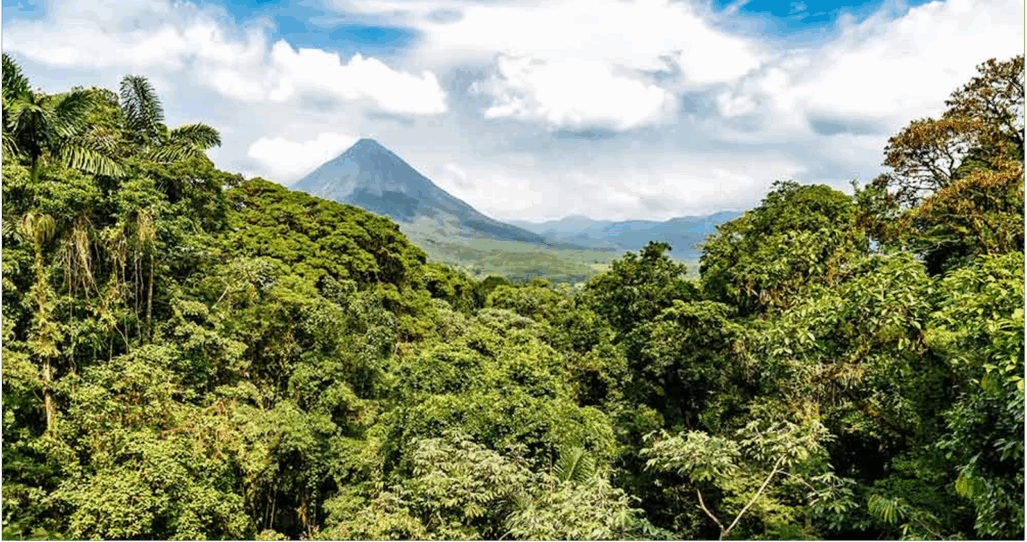 Essence du Costa Rica  |  Circuit Essence du Costa Rica Groupe