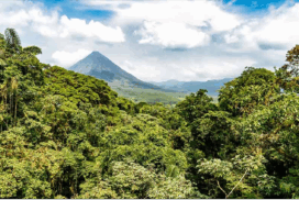 Essence du Costa Rica