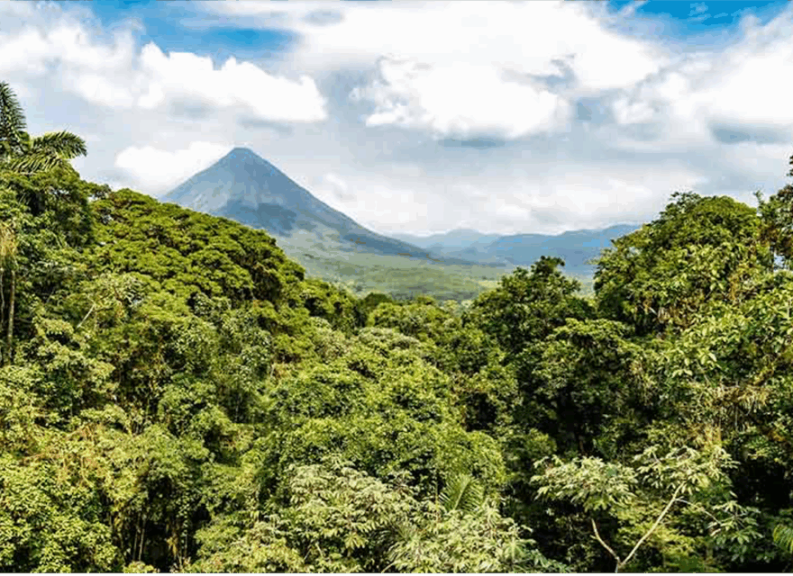 Articles écrits par Anne Lê – Essence du Costa Rica – Explorez le Costa Rica, entre plages, volcans et forêts tropicales, pour une immersion dans sa biodiversité unique Articles écrits par Anne Lê – Essence du Costa Rica – Explorez le Costa Rica, entre plages, volcans et forêts tropicales, pour une immersion dans sa biodiversité unique
