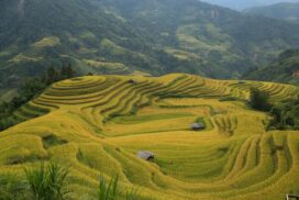 Découverte authentique du Vietnam du nord