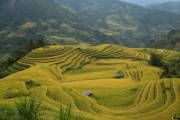 Découverte authentique du Vietnam du nord