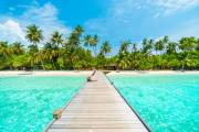hébergement 3* + pension complète + vols
